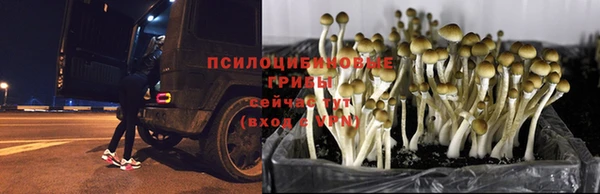 гашишное масло Алзамай
